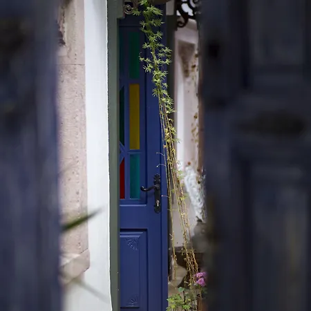 Cavlihane 1885 Ayvalı