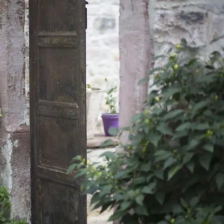 Cavlihane 1885 Hotel Ayvalı